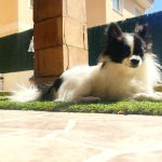 Francisco